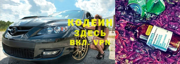 индика Армянск
