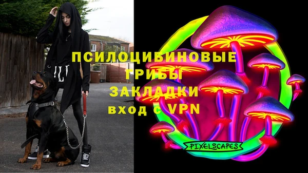 Альфа ПВП Балахна