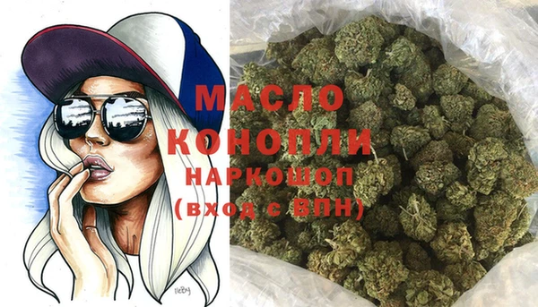 индика Армянск