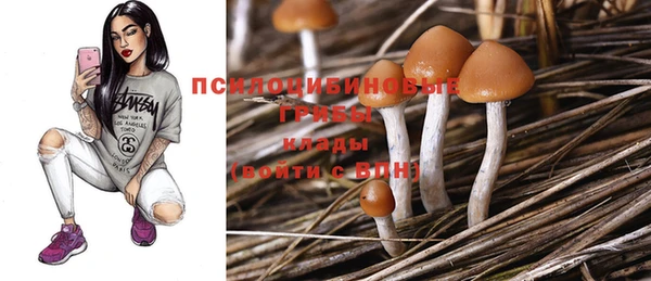 Альфа ПВП Арсеньев